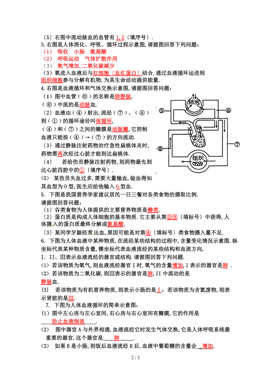 人体四大系统-专题训练有答案.doc_第2页