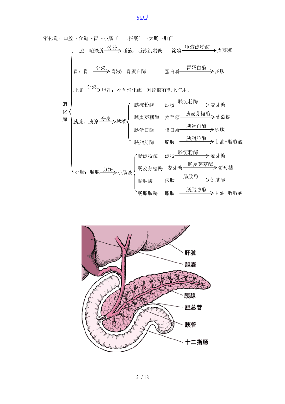 第四节生物体内营养物质地转变.doc_第2页