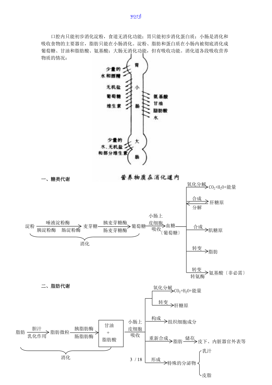 第四节生物体内营养物质地转变.doc_第3页