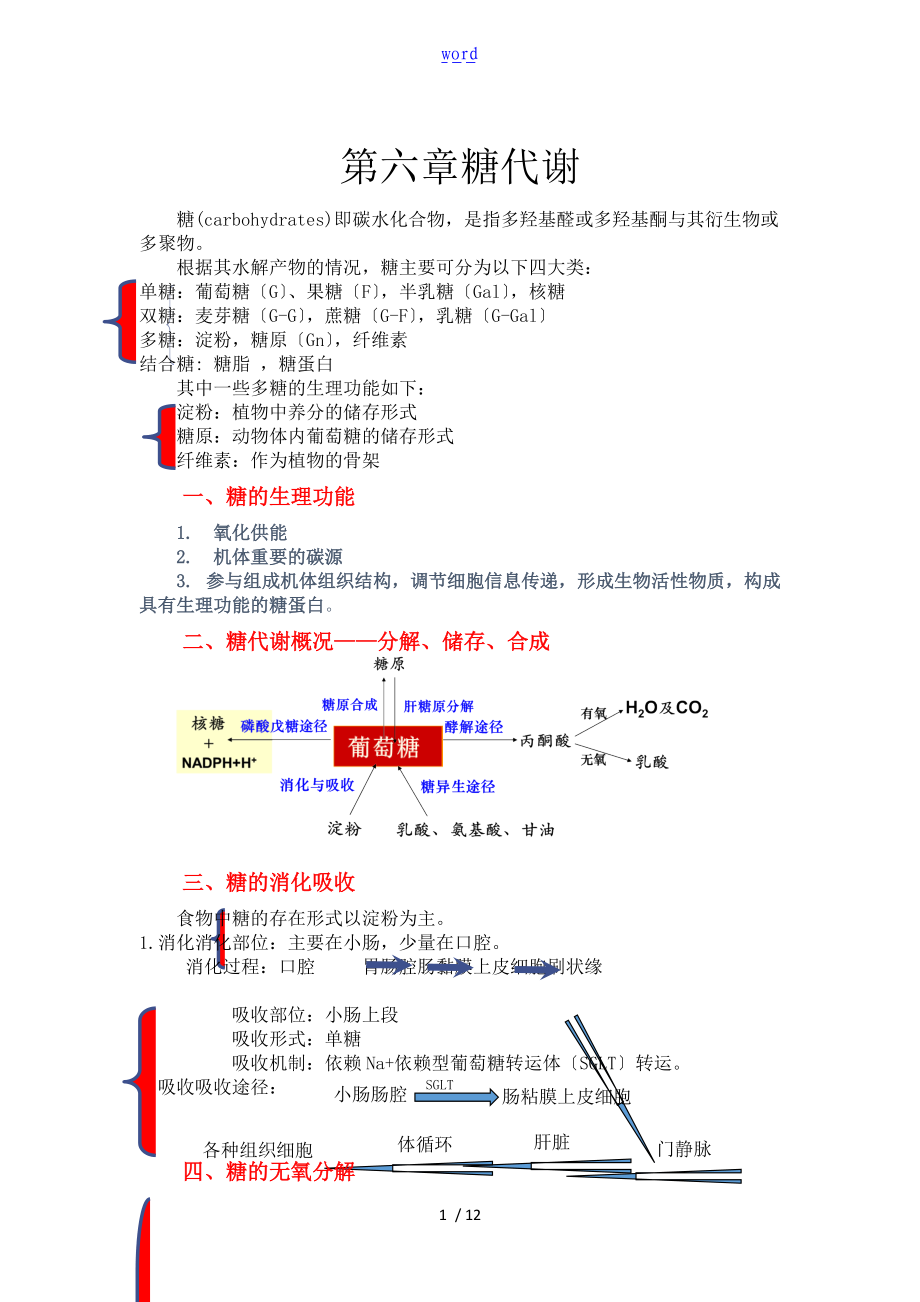 生物化学糖代谢知识点总结材料.doc_第1页