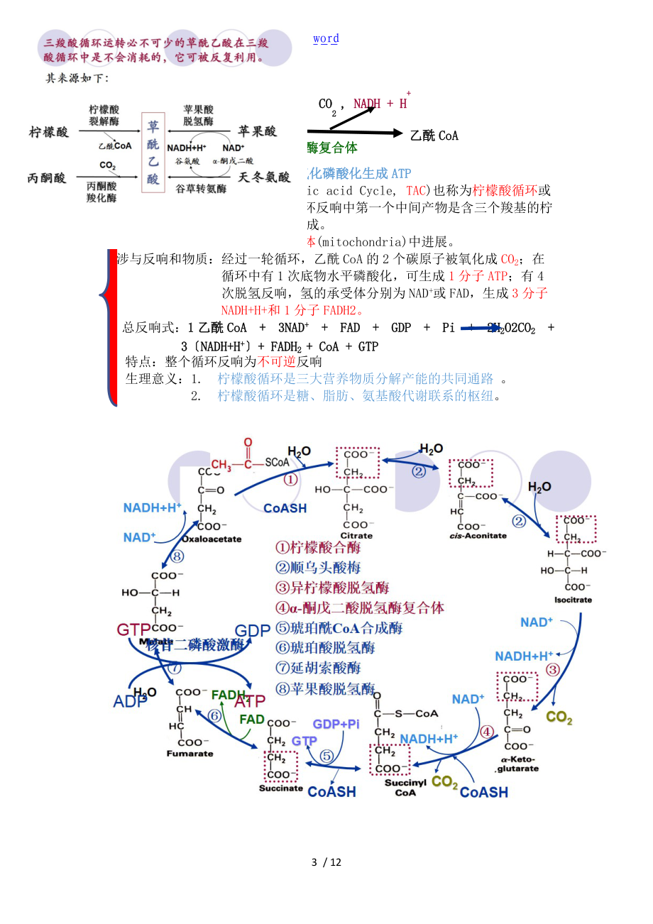 生物化学糖代谢知识点总结材料.doc_第3页