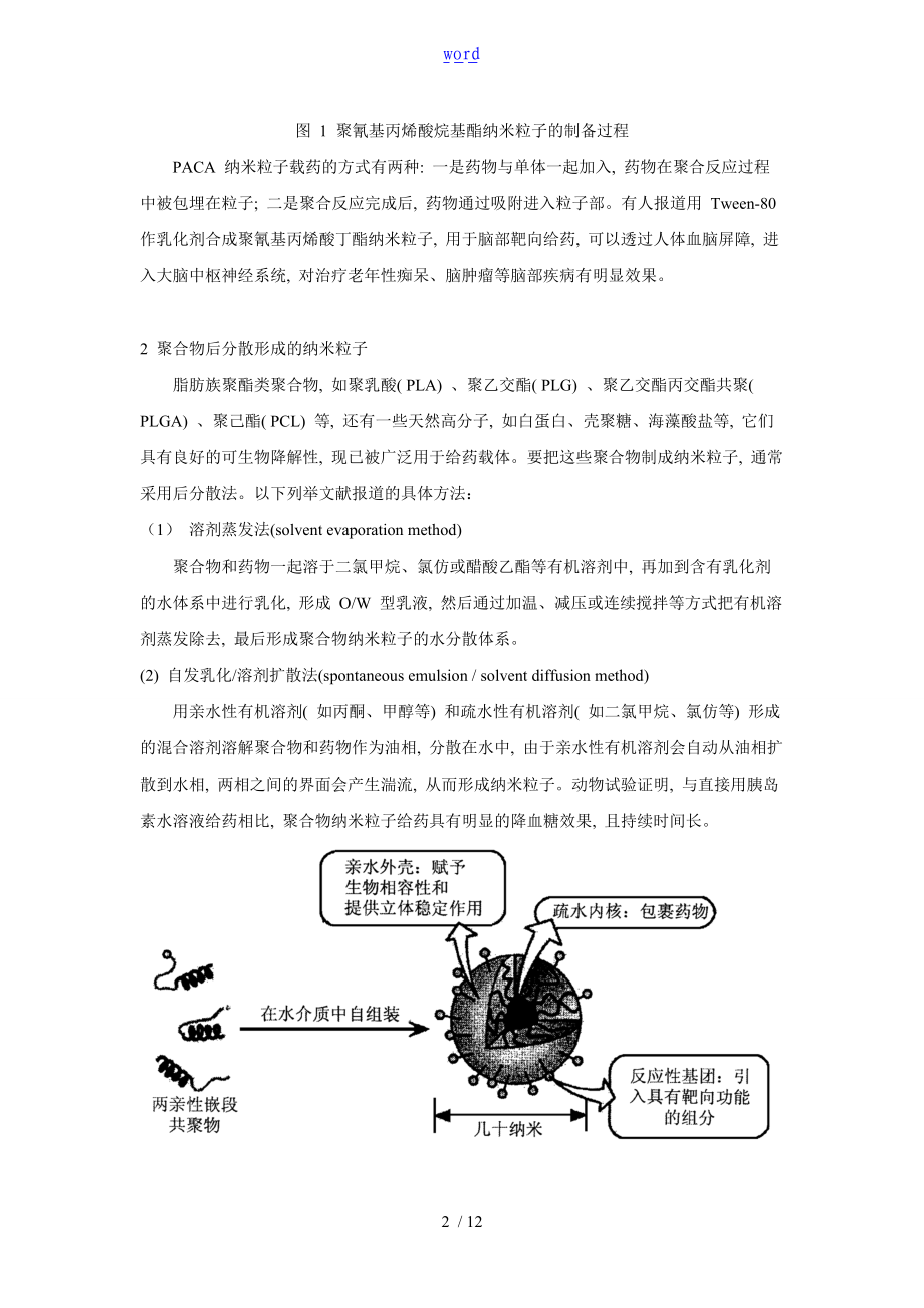 药用高分子材料纳米药物载体技术.doc_第2页