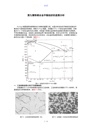 铁碳合金平衡组织地显微分析报告报告材料.doc