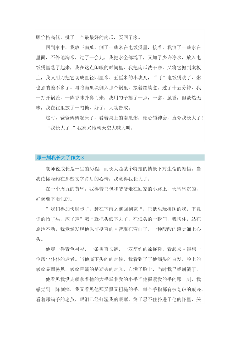 2022那一刻我长大了作文10篇.doc_第2页