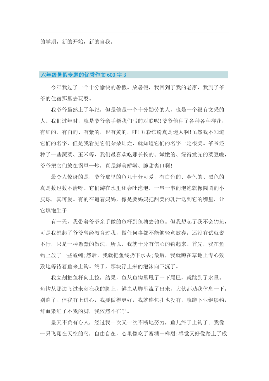 六年级暑假专题的优秀作文600字.doc_第3页