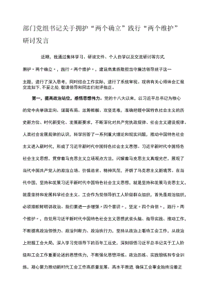 部门党组书记关于拥护“两个确立”践行“两个维护”研讨发言.docx