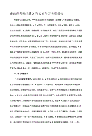 市政府考察组赴X和X市学习考察报告.docx