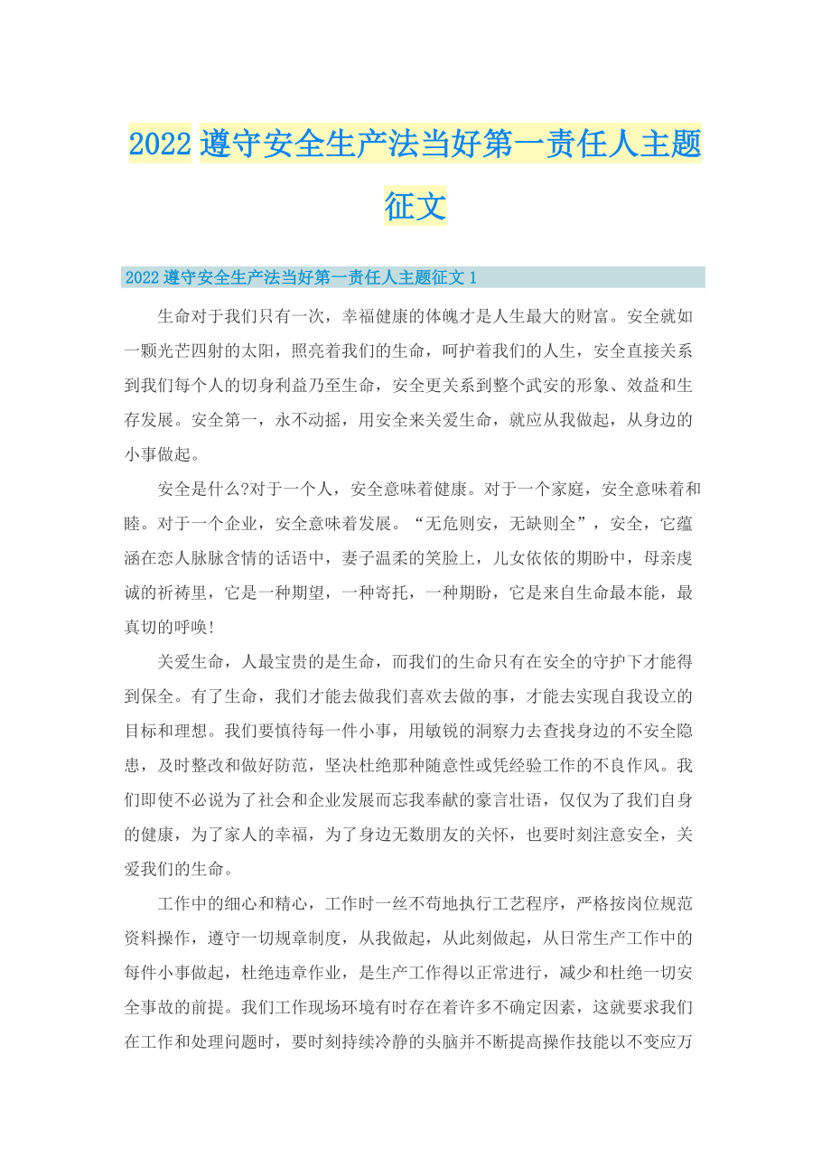 2022遵守安全生产法当好第一责任人主题征文.doc_第1页