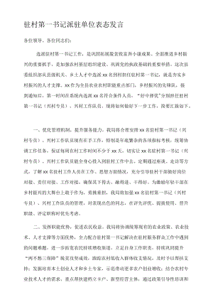 驻村第一书记派驻单位表态发言.docx