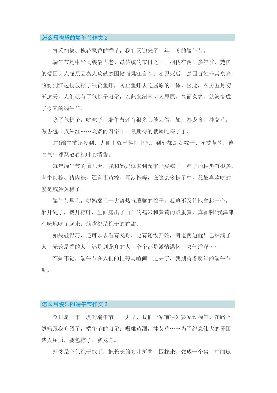 怎么写快乐的端午节作文.doc_第2页