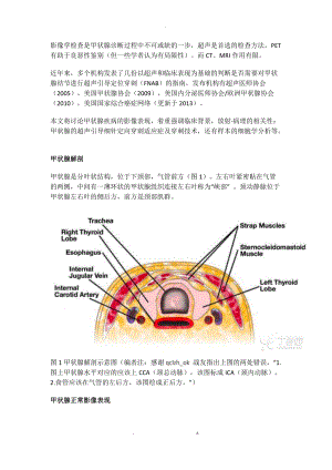 医考甲状腺病变的影像病理诊断与细针穿刺技术.docx