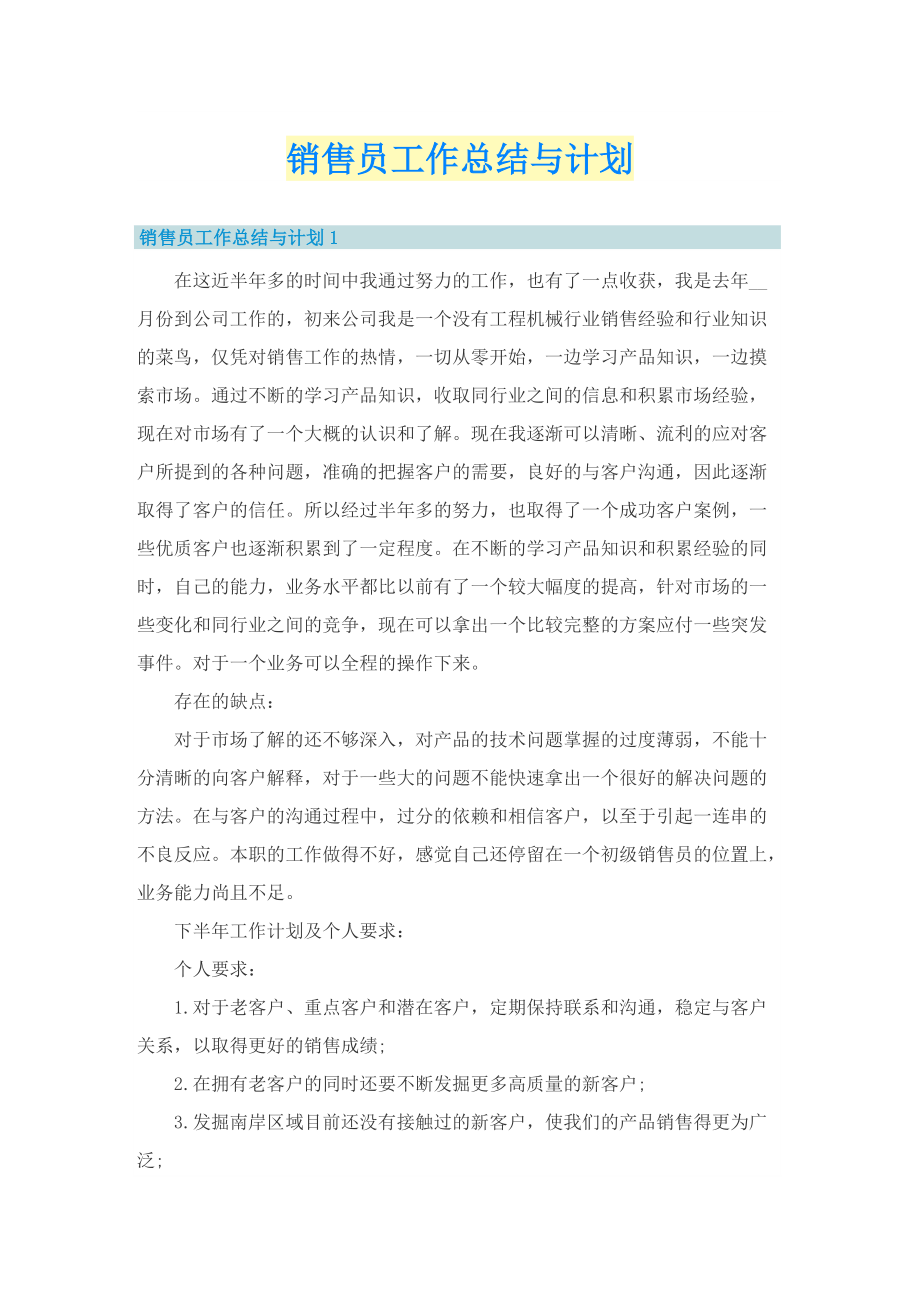 销售员工作总结与计划.doc_第1页