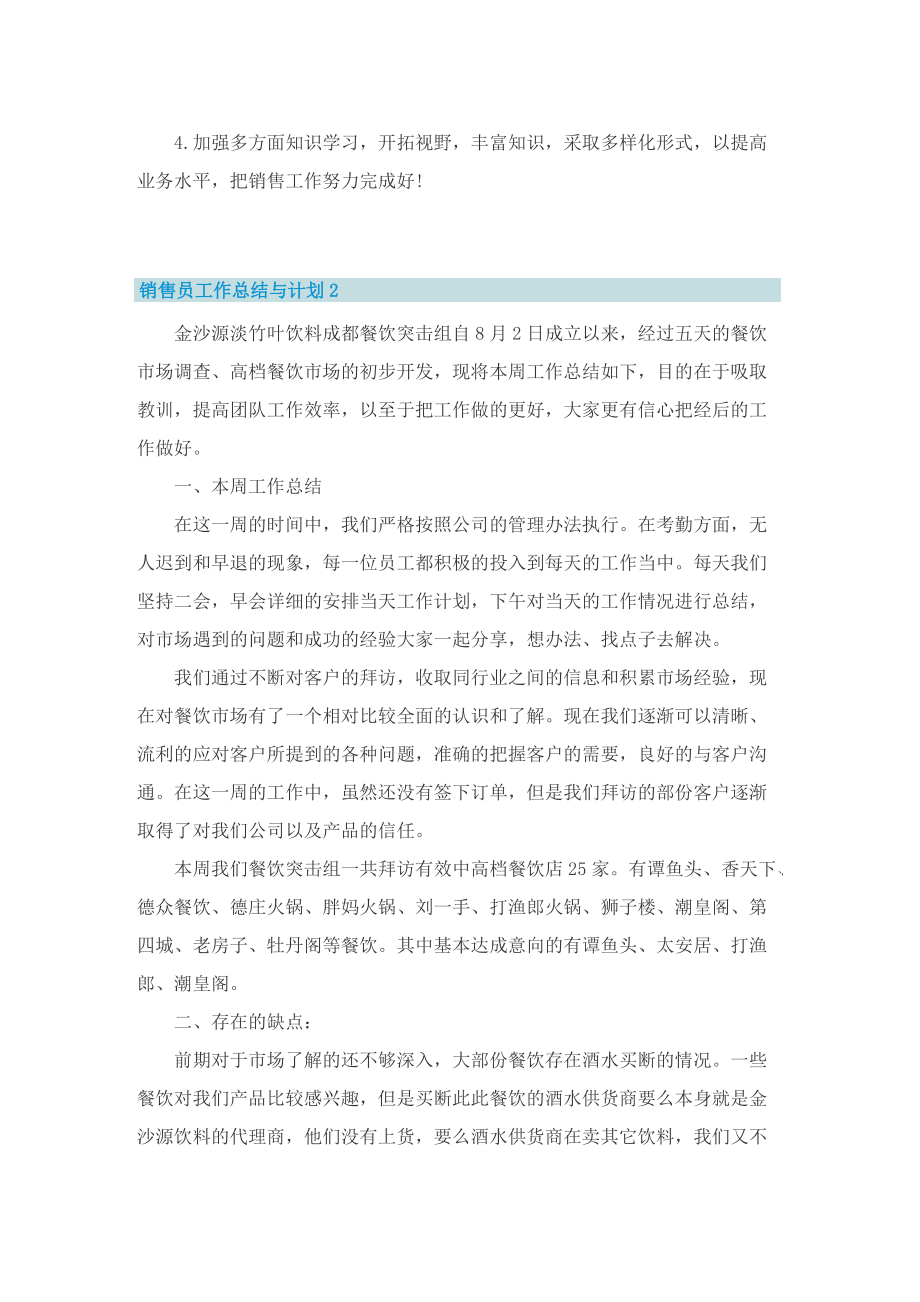 销售员工作总结与计划.doc_第2页