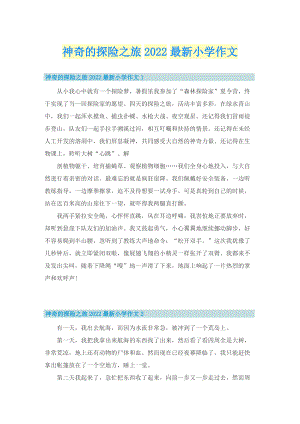 神奇的探险之旅2022最新小学作文.doc