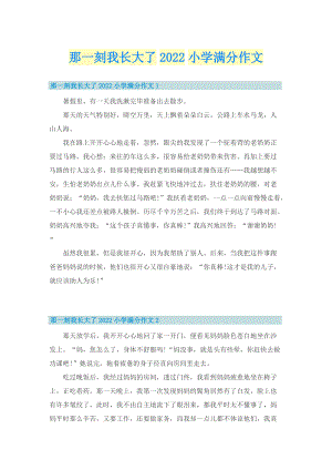 那一刻我长大了2022小学满分作文.doc