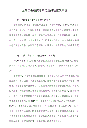 医院工会经费巡察违规问题整改案例.docx