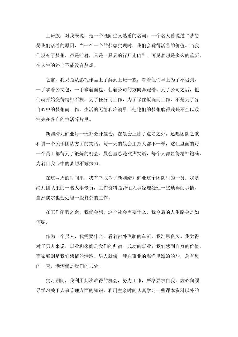 实习总结精选范文.doc_第3页