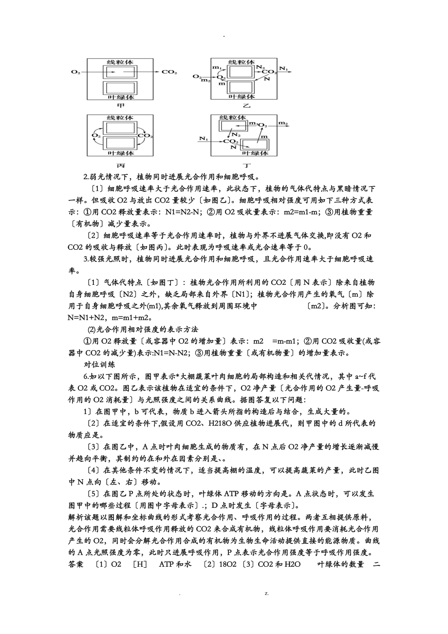 光合及呼吸知识点梳理.doc_第3页