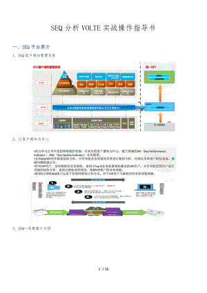 SEQ分析VOLTE实战操作指导书.docx