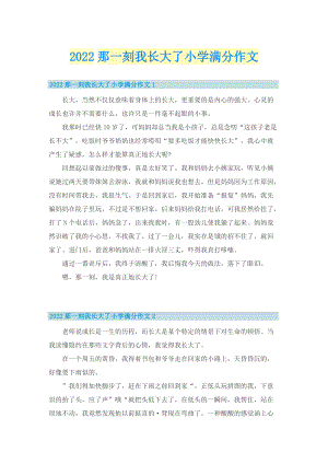 2022那一刻我长大了小学满分作文.doc