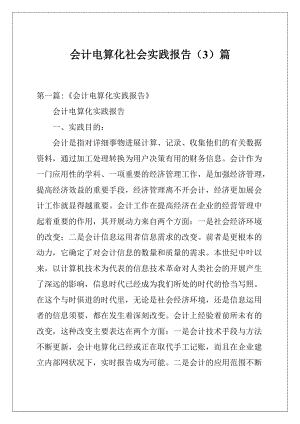 会计电算化社会实践报告3篇.docx