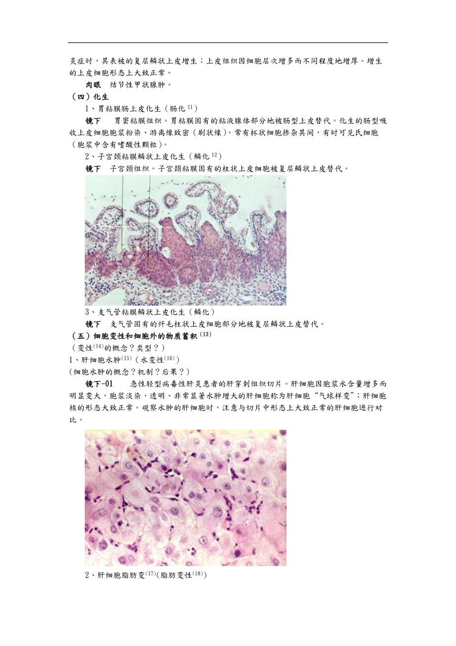 细胞组织的适应和损伤讲义全.doc_第3页