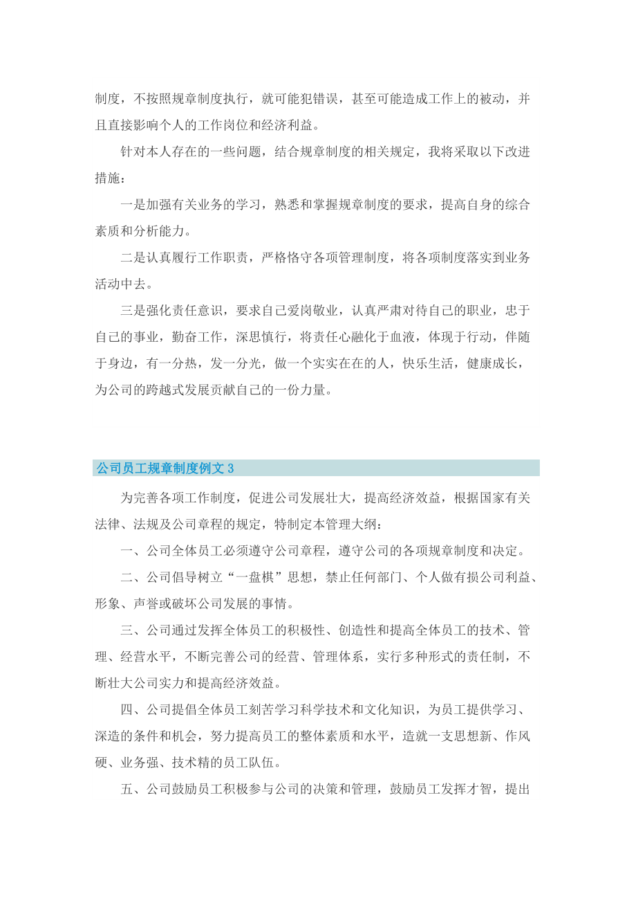 公司员工规章制度例文.doc_第3页