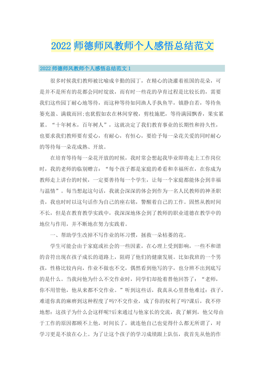 2022师德师风教师个人感悟总结范文.doc_第1页