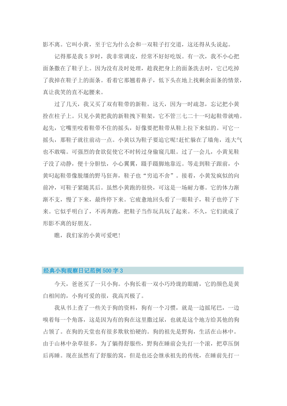 经典小狗观察日记范例500字.doc_第2页