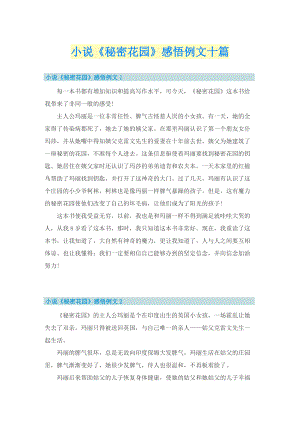 小说《秘密花园》感悟例文十篇.doc