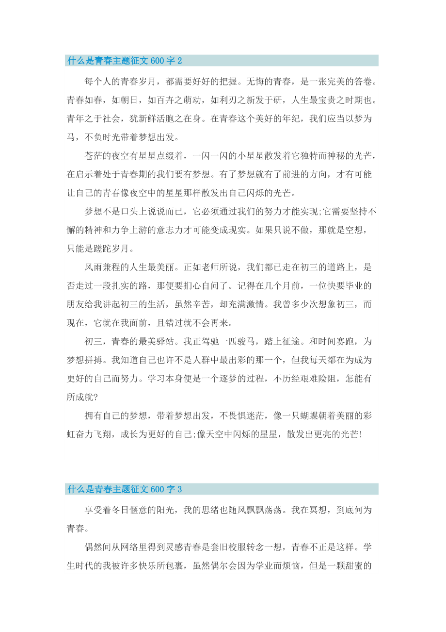 什么是青春主题征文600字.doc_第2页