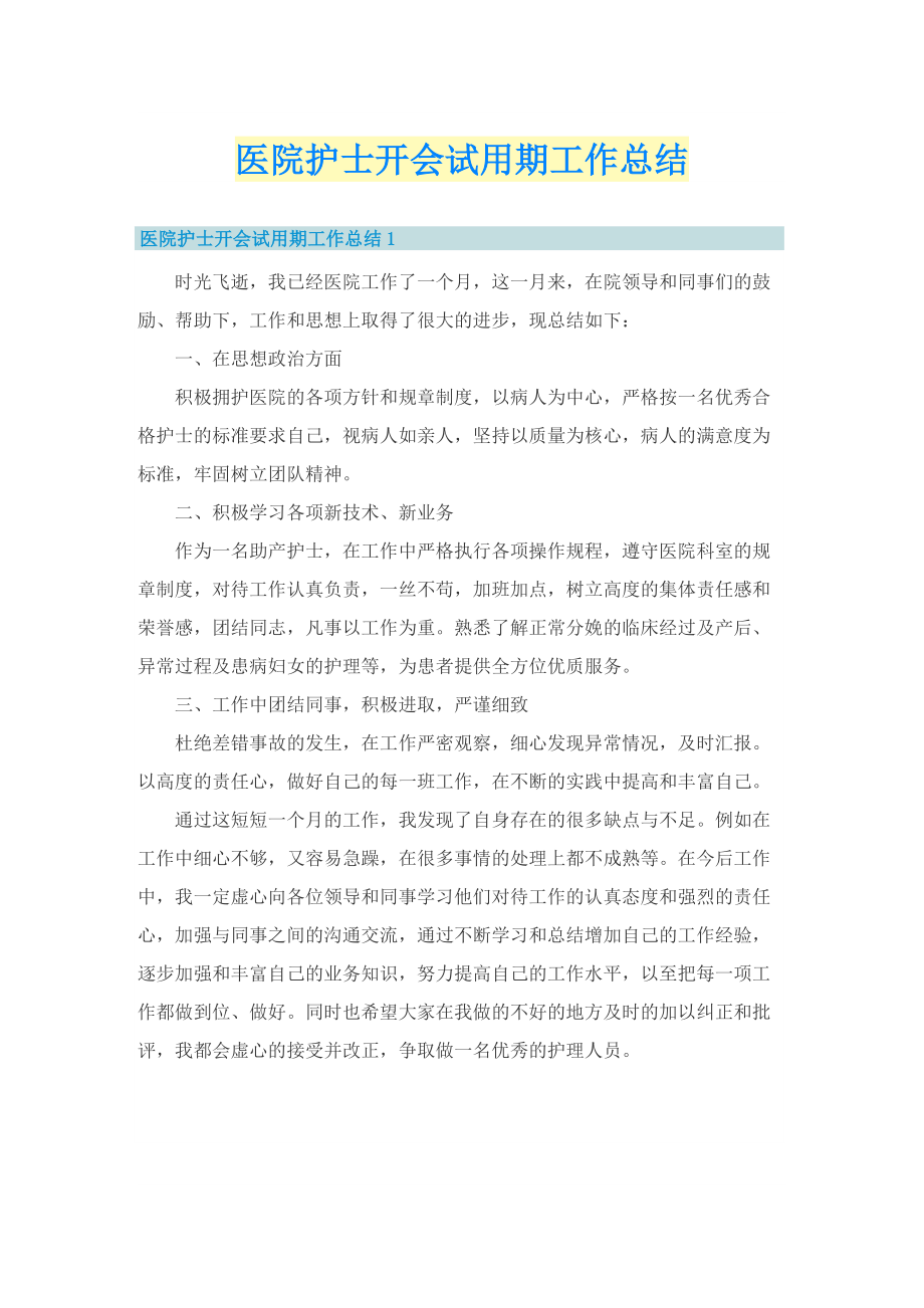 医院护士开会试用期工作总结.doc_第1页