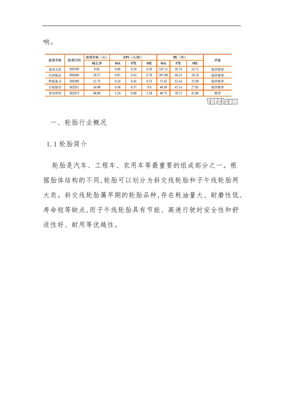 国内汽车轮胎行业评估方案报告.doc_第3页