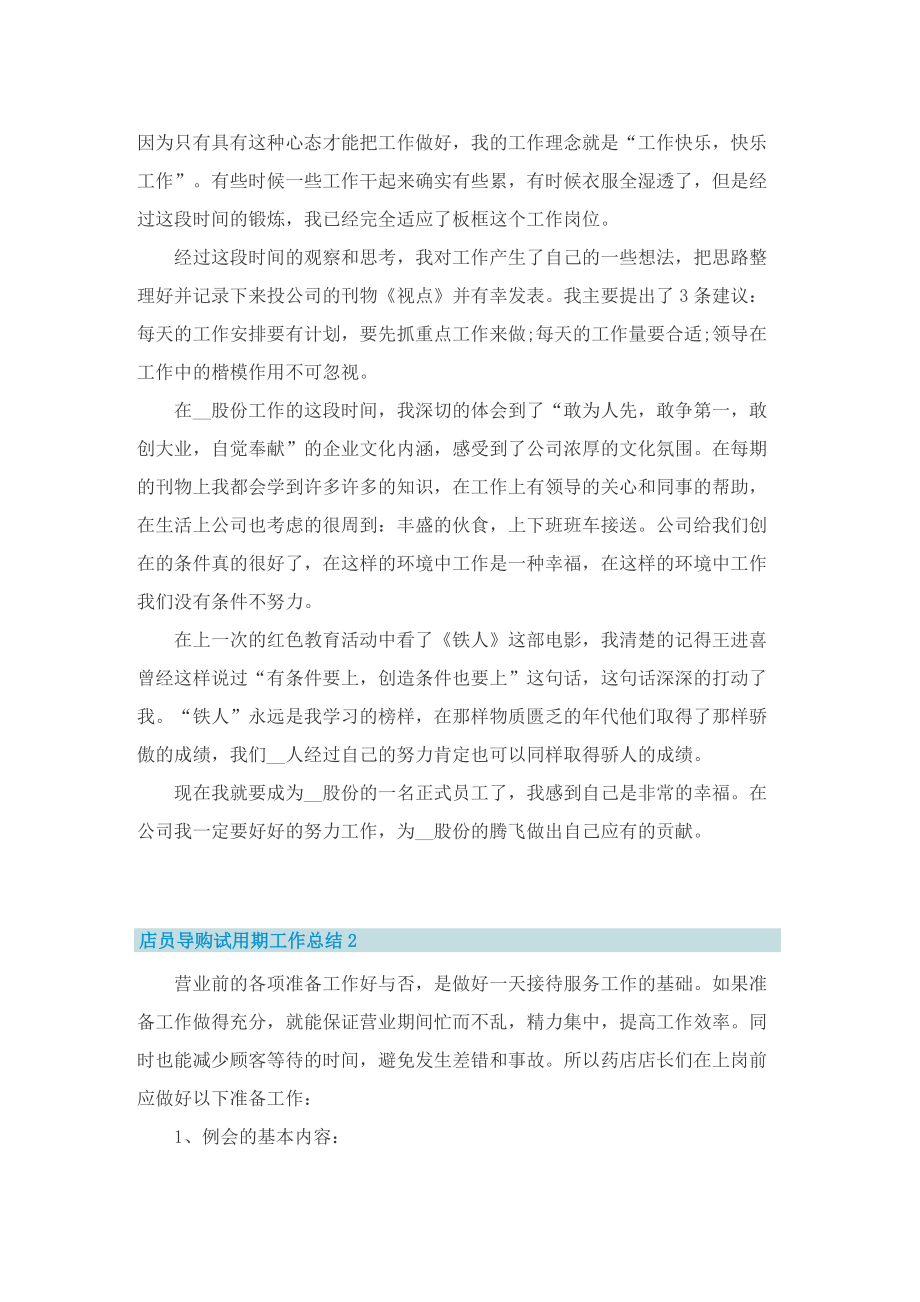 店员导购试用期工作总结.doc_第2页