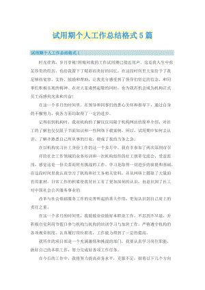 试用期个人工作总结格式5篇.doc