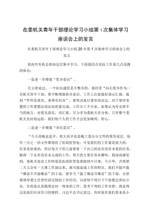 在委机关青干部理论学习小组第1次集体学习座谈会上的发言.docx