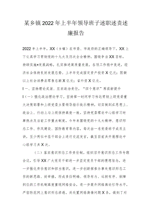 某乡镇2022上半领导班子述职述责述廉报告(1).docx