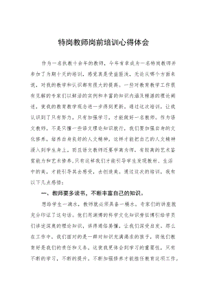 特岗教师岗前培训心得体会六篇.docx