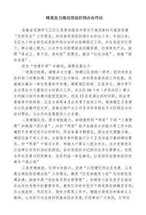 精准发力 推动党组织领办合作社(1).docx