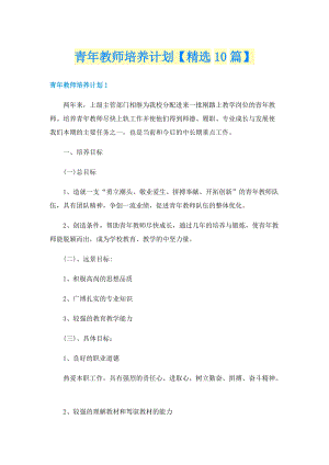 青年教师培养计划【精选10篇】.doc