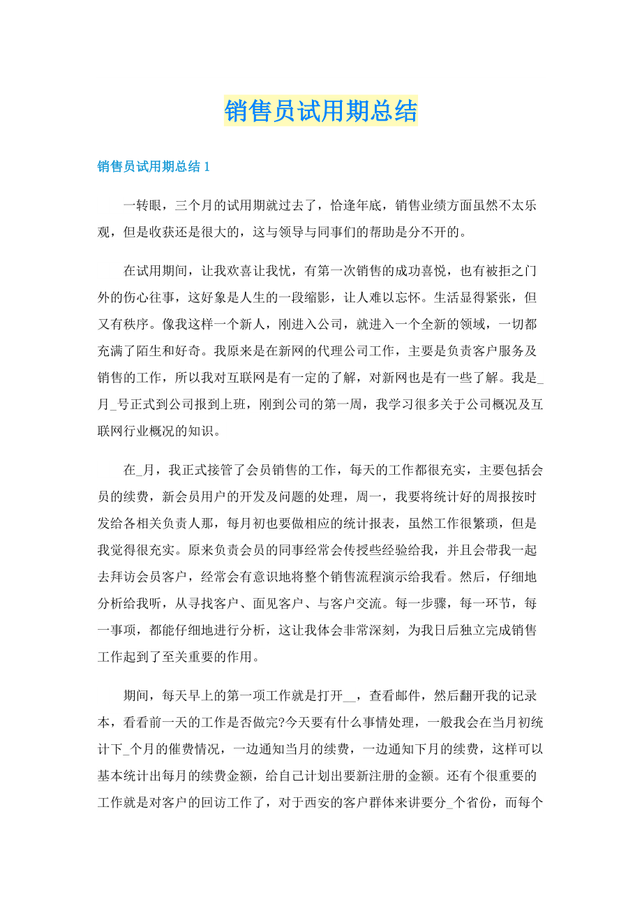 销售员试用期总结.doc_第1页