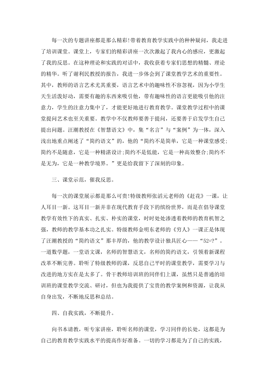 骨干教师工作总结个人总结.doc_第2页