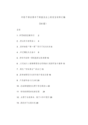 (14篇)轻干部在青干部座谈会上的发言材料汇编.docx