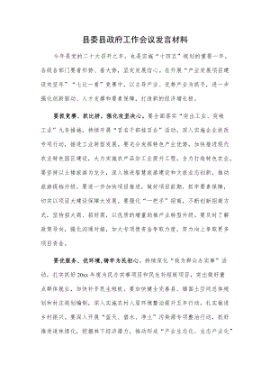 县委县政府工作会议发言材料.docx