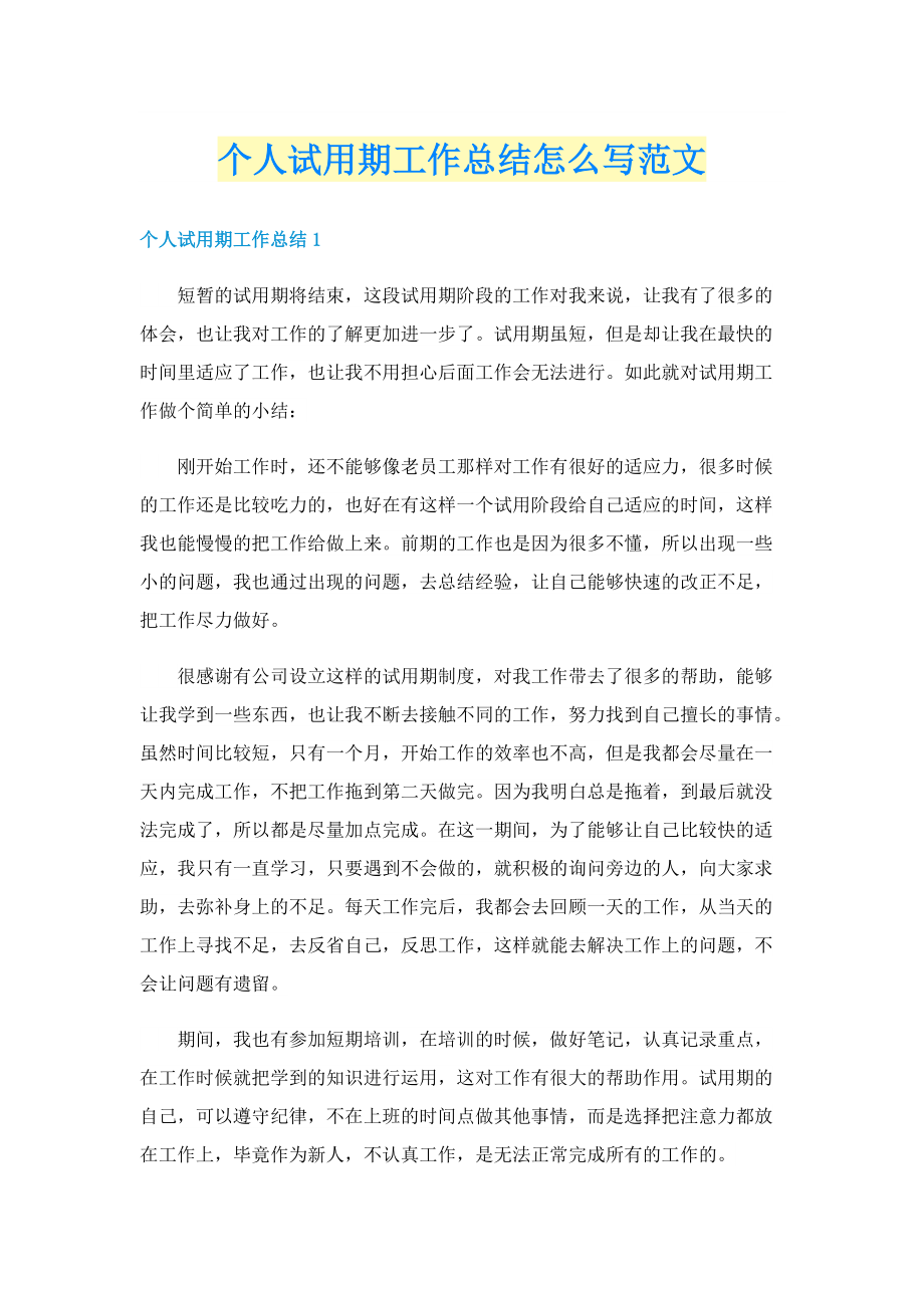 个人试用期工作总结怎么写范文.doc_第1页