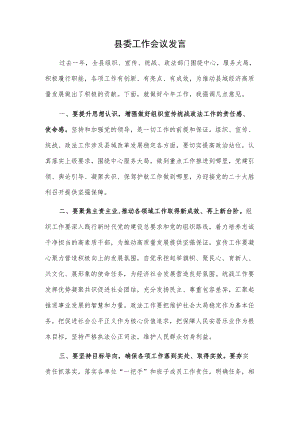 县委工作会议发言.docx