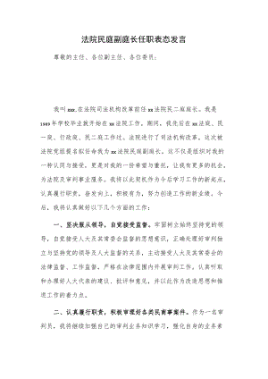 法院民庭副庭长任职表态发言.docx