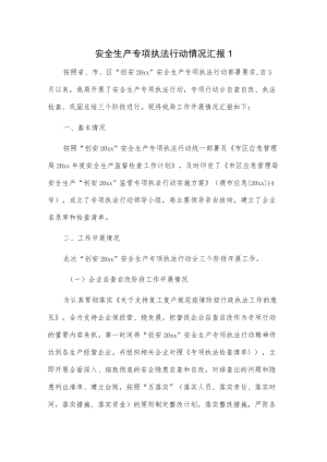 安全生产专项执法行动情况汇报2篇.docx