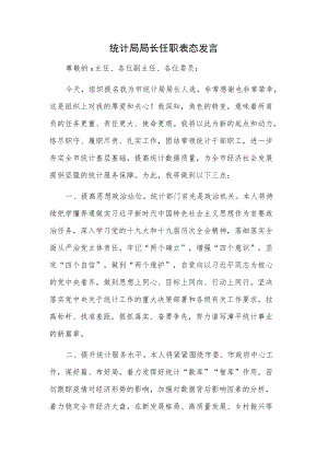 统计局局长任职表态发言.docx