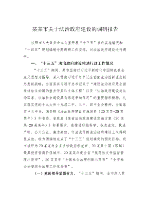 某某市关于法治政府建设的调研报告.docx